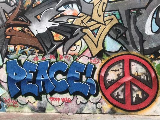 Non-Toxic Antiseptic Low Odor Graffiti Spray Paint for Versatile Substrates