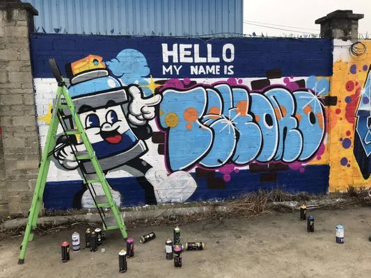 Versatile Substrate Use CE RoHS SGS Certified Acrylic Base Graffiti Spray Paint and Aerosol Spray Paint