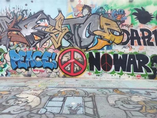 Benzene Free Eco-Friendly High-Efficiency Aerosol Spray Paint for Graffiti and Art